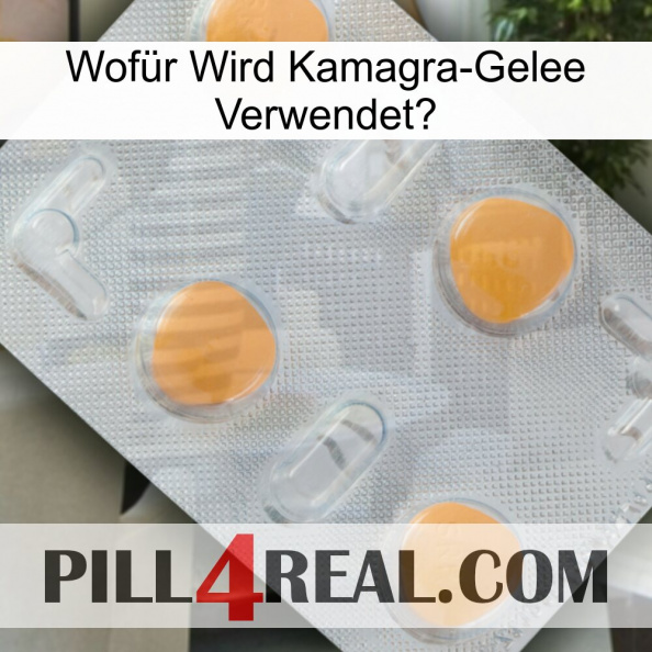 Wofür Wird Kamagra-Gelee Verwendet 24